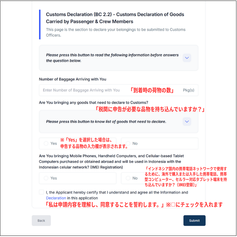 All Indonesia の Baggage / Customs Declaration（荷物・税関申告）入力画面の例